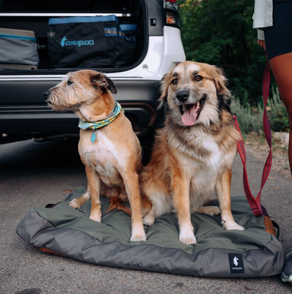 Del Día Dog Bed - US 9686