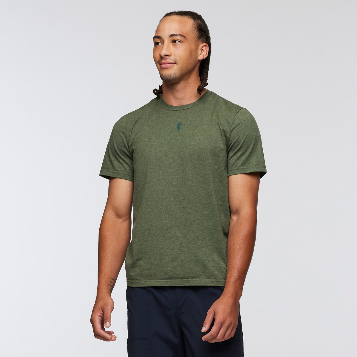 Llama Icon T-Shirt - Men's - Fatigue - US 2521