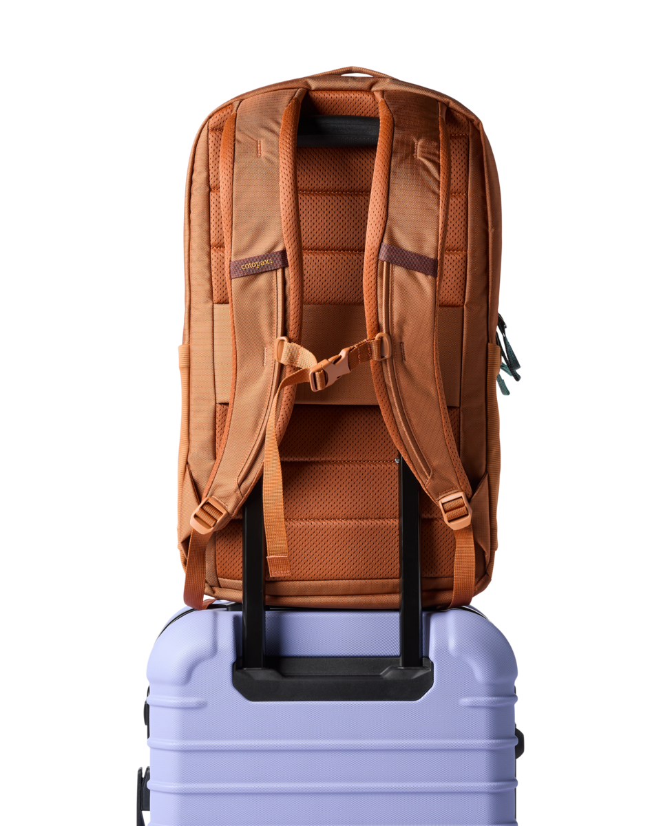 Allpa 26L Daypack - Whiskey - US 6694