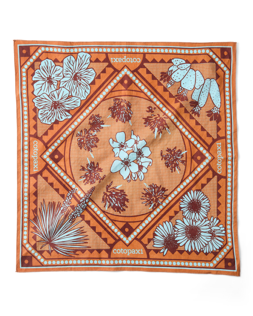 Organic Cotton Bandana - Desert llama - US 2093