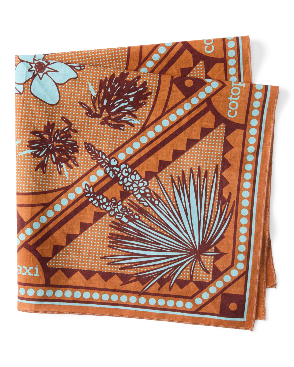 Organic Cotton Bandana - Desert llama - US 2093