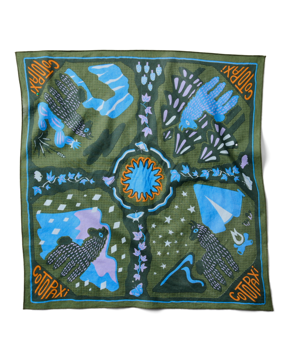 Organic Cotton Bandana - Llama Camp Bandana - US 9204