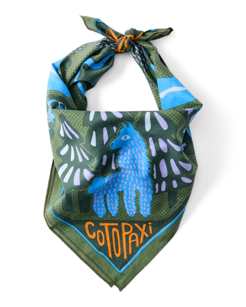 Organic Cotton Bandana - Llama Camp Bandana - US 9204